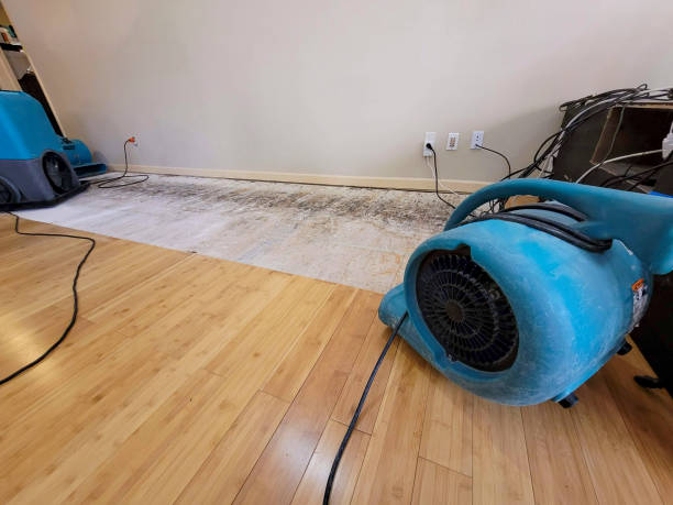 Professional Basement Flood Cleanup technician working in Creighton, PA